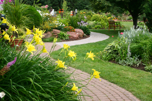 Landscaping Company in Bristol