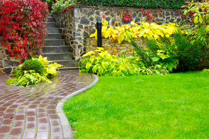 Landscaping Company in Caledonia