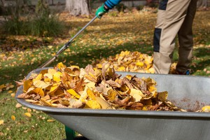 Kenosha Seasonal Yard Cleanup