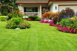 Kenosha Landscaping Company