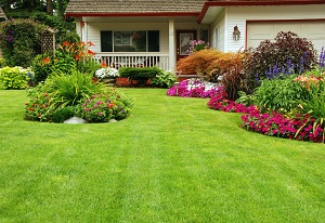 salem-lawn-maintenance