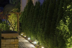 Racine Landscape Lighting