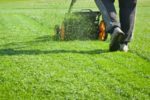 Racine Lawn Maintenance