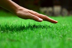 Racine Lawn Care