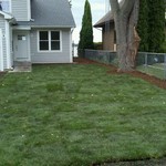 Sod Installment & Grading Mount Pleasant, WI